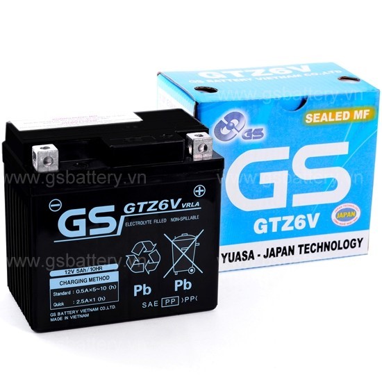 Ắc quy GS GTZ6V
