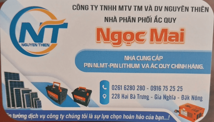 Ắc quy Ngọc Mai