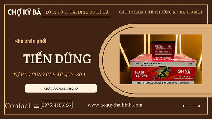 Ắc quy Tiến Dũng