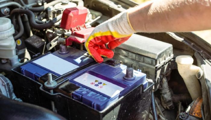 Kiểm tra định kỳ