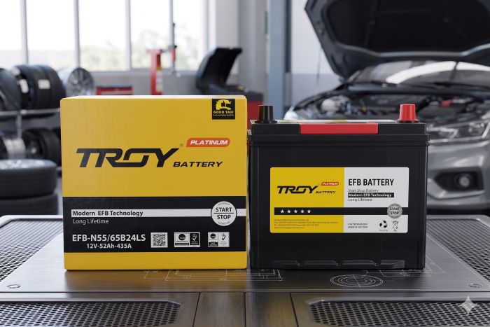 sản phẩm bình ắc quy troy efb