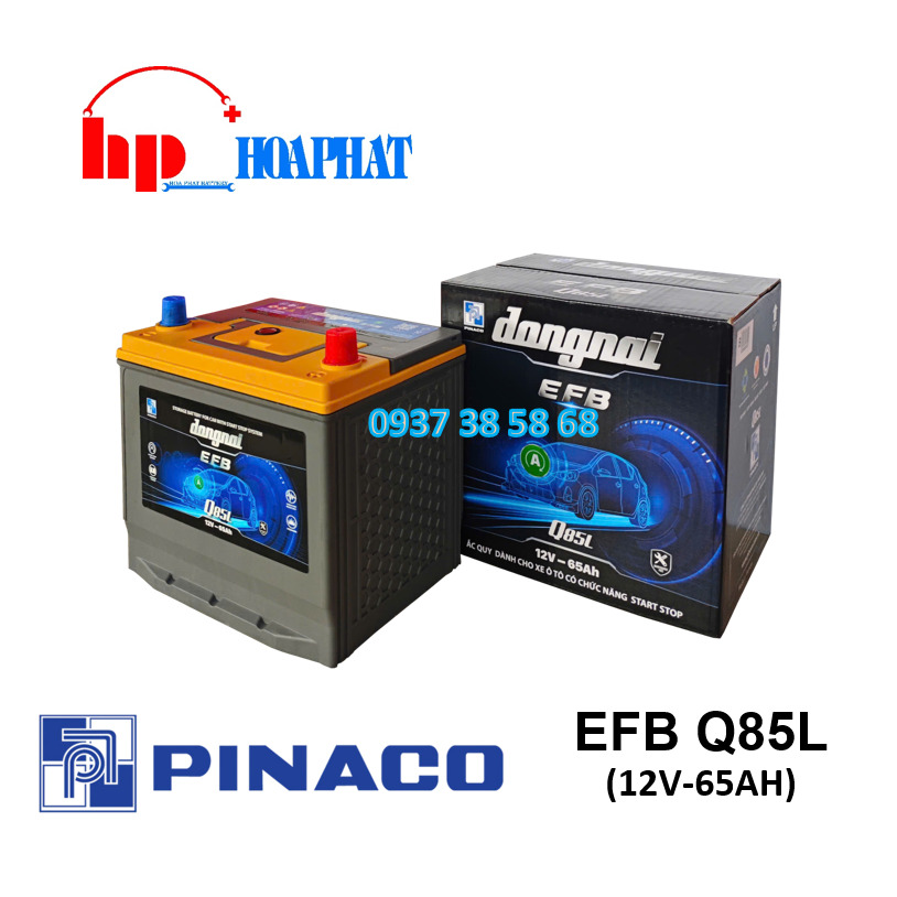 ẮC QUY ĐỒNG NAI EFB Q85L (12V-65AH)