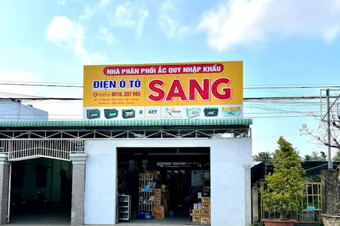 Điện ô tô Sang